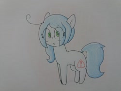 Size: 2064x1548 | Tagged: safe, artist:cherro, imported from derpibooru, oc, oc only, oc:mal, pony, solo, traditional art