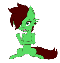 Size: 1920x2000 | Tagged: safe, artist:lucky-em, imported from derpibooru, oc, oc only, oc:emerald, earth pony, pony, chest fluff, ear fluff, hair over one eye, raised hoof, simple background, sitting, solo, transparent background