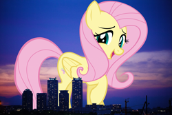 Size: 2465x1644 | Tagged: safe, artist:andoanimalia, artist:thegiantponyfan, imported from derpibooru, fluttershy, pegasus, pony, female, giant pegasus, giant pony, giantess, giantshy, high res, highrise ponies, irl, japan, macro, mare, mega giant, photo, ponies in real life, yokohama