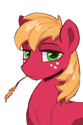 Size: 2000x3000 | Tagged: safe, artist:kotya, imported from derpibooru, big macintosh, earth pony, pony, bust, high res, looking at you, male, portrait, solo, stallion