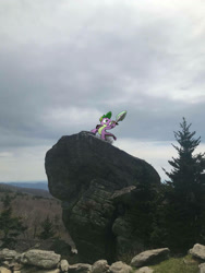 Size: 774x1032 | Tagged: safe, edit, editor:undeadponysoldier, imported from ponybooru, photographer:undeadponysoldier, spike, dragon, boulder, cliff, cloud, dragons in real life, edited photo, epic, grandfather mountain, hero, heroic, heroic posing, irl, majestic, majestic as fuck, male, mountain, photo, raised arm, rock, shield, sky, solo, sword, tree, weapon
