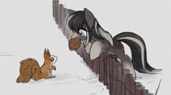 Size: 1025x574 | Tagged: safe, artist:marbo, oc, oc only, oc:pine ponder, earth pony, pony, squirrel, blaze (coat marking), female, fence, mare, mouth hold, pinecone, smiling, snowmare, snowpony (species), socks (coat marking), taiga pony, yakutian horse