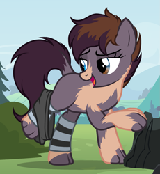 Size: 1323x1437 | Tagged: safe, artist:anonymous, imported from derpibooru, oc, oc only, earth pony, pony, clothes, earth pony oc, eye color change, human to pony, looking back, open mouth, open smile, show accurate, smiling, socks, transformation