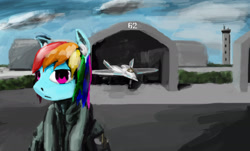 Size: 1790x1080 | Tagged: safe, artist:jian7ye, imported from derpibooru, pegasus, pony, arma, clothes, f23, fighter, flight suit, jet, ngad, pilot