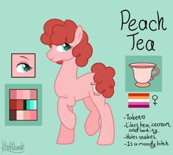 Size: 1280x1143 | Tagged: safe, artist:lilsoftlamb, imported from derpibooru, oc, oc only, oc:peach tea, earth pony, pony, female, mare, reference sheet, solo
