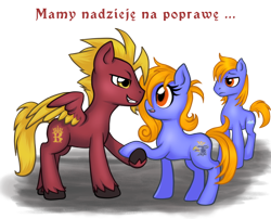 Size: 540x436 | Tagged: safe, imported from derpibooru, oc, oc only, oc:prince baltic, oc:princess pomerania, earth pony, pegasus, pony, female, male, mare, polish, simple background, stallion, transparent background, tribrony