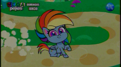 Size: 864x482 | Tagged: safe, imported from derpibooru, screencap, rainbow dash, pegasus, my little pony: pony life, ecuador, g4.5, intro, tc television, wings