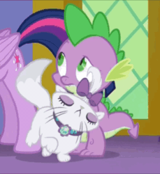 Size: 880x960 | Tagged: safe, imported from ponybooru, screencap, opalescence, spike, twilight sparkle, alicorn, cat, dragon, pony, animated, bow, cute, door, duo, duo focus, edited gif, episode needed, eyes closed, female, fluffy tail, gif, hair bow, looped, mare, opalbetes, perfect loop, spikelove, twilight sparkle (alicorn), twilight's castle, whiskers