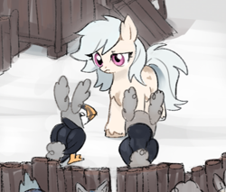 Size: 871x741 | Tagged: safe, artist:marbo, oc, oc only, oc:puffins, pony, puffin, coop, female, fence, hat, mare, raised eyebrow, snow, snowpony (species), taiga pony