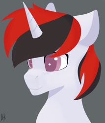 Size: 1200x1400 | Tagged: safe, artist:akril_chan, imported from derpibooru, oc, alicorn, pony, unicorn, bust, portrait, solo