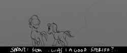 Size: 1400x587 | Tagged: safe, imported from derpibooru, screencap, sprout cloverleaf, earth pony, pony, unicorn, spoiler:g5, spoiler:my little pony: a new generation, g5, my little pony: a new generation, phyllis cloverleaf, storyboard