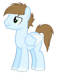 Size: 1150x1460 | Tagged: safe, artist:cindystarlight, imported from derpibooru, oc, oc only, pegasus, pony, colored wings, male, simple background, solo, stallion, transparent background, two toned wings, wings