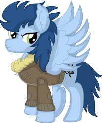 Size: 5998x7224 | Tagged: safe, artist:cyanlightning, imported from derpibooru, oc, oc only, oc:cerulean storm, pegasus, pony, derpibooru community collaboration, .svg available, 2022 community collab, absurd resolution, bomber jacket, clothes, jacket, male, simple background, solo, stallion, transparent background, vector
