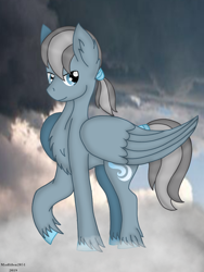 Size: 720x960 | Tagged: safe, artist:madlilon2051, imported from derpibooru, oc, oc only, pegasus, pony, chest fluff, cloud, ear fluff, male, on a cloud, pegasus oc, raised hoof, stallion, unshorn fetlocks, wings