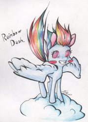 Size: 1465x2044 | Tagged: safe, artist:alcidence, imported from derpibooru, rainbow dash, pegasus, pony, blush sticker, blushing, cloud, grin, no pupils, on a cloud, smiling, solo, spread wings, standing on a cloud, traditional art, wings