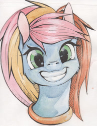 Size: 1589x2061 | Tagged: safe, artist:alcidence, imported from derpibooru, oc, oc only, pony, bust, cheek fluff, oc name needed, smiling, solo, traditional art