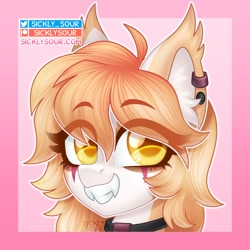 Size: 1000x1000 | Tagged: safe, artist:sickly-sour, imported from derpibooru, oc, oc only, bat pony, pony, fangs, solo, teeth