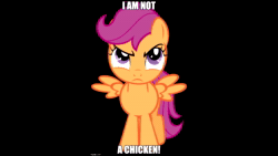 Size: 1280x720 | Tagged: safe, imported from derpibooru, scootaloo, pegasus, pony, ai assisted, ai content, angry, black background, captain obvious, caption, female, fifteen.ai, filly, image macro, imgflip, meme, scootachicken, scootaloo is not a chicken, simple background, small wings, solo, sound, sound only, spread wings, text, webm, wings