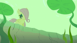 Size: 1920x1080 | Tagged: safe, edit, edited screencap, imported from derpibooru, screencap, sound edit, fluttershy, frog, the cutie mark chronicles, animated, bubble, female, filly, filly fluttershy, it is wednesday my dudes, open mouth, smiling, sound, teeth, underwater, water, webm, wednesday, younger