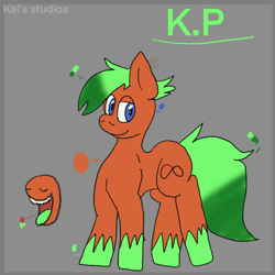 Size: 2000x2000 | Tagged: safe, artist:kaifurry, derpibooru exclusive, imported from derpibooru, oc, oc only, oc:kp, earth pony, pony, abstract background, gradient mane, high res, looking at you, reference sheet, solo, standing, unshorn fetlocks