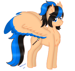 Size: 790x746 | Tagged: safe, artist:madlilon2051, imported from derpibooru, oc, oc only, pegasus, pony, chest fluff, colored wings, ear fluff, female, mare, pegasus oc, simple background, smiling, transparent background, two toned wings, wings