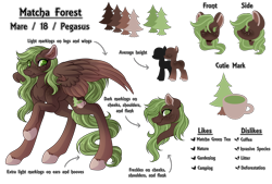 Size: 6700x4536 | Tagged: safe, artist:amazing-artsong, imported from derpibooru, oc, oc only, oc:matcha forest, pegasus, pony, absurd resolution, female, mare, reference sheet, simple background, solo, transparent background
