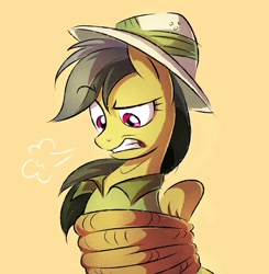 Size: 1080x1102 | Tagged: safe, artist:__regenbogen_, artist:regenbogen, imported from derpibooru, daring do, pegasus, pony, annoyed, bondage, bound wings, female, gritted teeth, hat, pith helmet, rope, rope bondage, simple background, snorting, tied up, wings