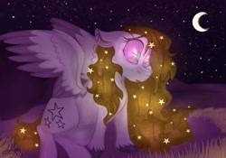 Size: 1630x1140 | Tagged: safe, artist:millefaller, imported from derpibooru, oc, pegasus, pony, crescent moon, ear fluff, ethereal mane, female, mare, moon, night, outdoors, pegasus oc, starry mane, stars, transparent moon, wingding eyes, wings