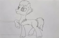 Size: 2898x1896 | Tagged: safe, artist:straighttothepointstudio, imported from derpibooru, hitch trailblazer, earth pony, pony, badge, black and white, g5, grayscale, leaning, male, monochrome, my little pony: a new generation, sheriff, smiling, solo, stallion, traditional art