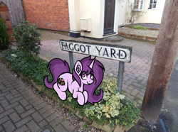 Size: 616x459 | Tagged: safe, artist:czu, imported from derpibooru, oc, oc only, oc:czupone, pony, unicorn, cute, faggot, irl, looking at you, photo, ponies in real life, sign, slur, smiling, smiling at you, solo, telephone pole, vulgar, yard