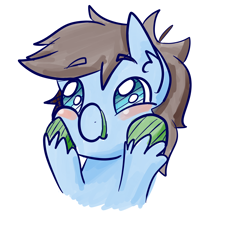 Size: 5000x5000 | Tagged: safe, artist:zombietator, imported from derpibooru, oc, oc only, oc:chaos, earth pony, pony, blushing, bust, cheek squish, ear fluff, earth pony oc, male, simple background, solo, squishy cheeks, stallion, unshorn fetlocks, white background