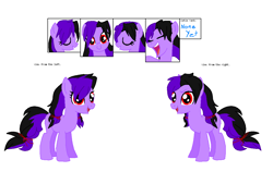 Size: 1144x825 | Tagged: safe, artist:sapphirescarletta, imported from derpibooru, oc, oc only, earth pony, pony, base used, earth pony oc, female, mare, reference sheet, smiling