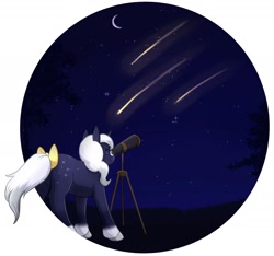 Size: 2108x1972 | Tagged: safe, artist:foxhatart, imported from derpibooru, oc, oc only, oc:moonlight, pony, unicorn, bow, female, high res, mare, partial background, shooting star, solo, tail, tail bow, telescope