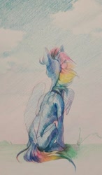 Size: 631x1080 | Tagged: safe, artist:yanisfucker, imported from derpibooru, rainbow dash, pegasus, pony, colored pencil drawing, female, folded wings, looking away, mare, pencil drawing, rear view, sitting, sketch, solo, traditional art, windswept mane, wings