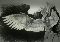 Size: 1280x884 | Tagged: safe, artist:yanisfucker, imported from derpibooru, princess celestia, alicorn, pony, female, grayscale, large wings, mare, monochrome, pencil drawing, sketch, solo, spread wings, traditional art, wings