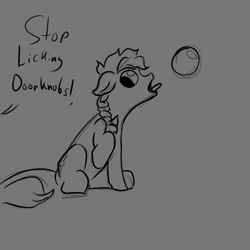 Size: 3000x3000 | Tagged: safe, artist:fumalunga, imported from derpibooru, candy apples, earth pony, pony, apple family member, doorknob, female, grayscale, high res, licking, mare, monochrome, offscreen character, raised hoof, silly, sitting, sketch, solo, tongue out