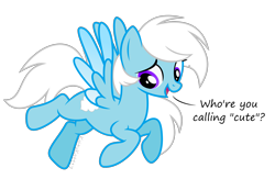 Size: 2000x1307 | Tagged: safe, artist:kaitykat117, imported from derpibooru, oc, oc only, oc:feather_bloom, pegasus, pony, base used, cute, dialogue, flying, simple background, solo, transparent background, vector, weapons-grade cute