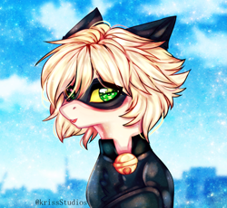 Size: 3689x3400 | Tagged: safe, artist:krissstudios, imported from derpibooru, pony, adrien agreste, chat noir, high res, male, miraculous ladybug, ponified, solo