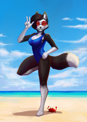 Size: 1200x1680 | Tagged: safe, artist:mortarionlordofdeath, imported from derpibooru, oc, oc:blue (princebluemoon3), abyssinian, anthro, cat, crab, plantigrade anthro, abyssinian oc, beach, boobs and butt pose, breasts, butt, clothes, commissioner:bigonionbean, female, ocean, one-piece swimsuit, open-back swimsuit, pose, posing for photo, rule 63, shadow, sunglasses, swimsuit, water, writer:bigonionbean