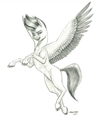 Size: 1000x1279 | Tagged: safe, artist:baron engel, imported from derpibooru, zipp storm, pegasus, pony, colored hooves, female, flying, g5, grayscale, looking at you, mare, monochrome, my little pony: a new generation, pencil drawing, simple background, solo, traditional art, white background