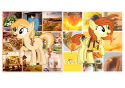 Size: 1280x906 | Tagged: safe, artist:tenderrain-art, imported from derpibooru, oc, oc only, earth pony, pegasus, pony, female, mare, moodboard