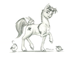 Size: 1400x1112 | Tagged: safe, artist:baron engel, imported from derpibooru, hitch trailblazer, bird, earth pony, pony, rabbit, spoiler:g5, spoiler:my little pony: a new generation, animal, critter magnet, g5, male, monochrome, my little pony: a new generation, pencil drawing, stallion, traditional art