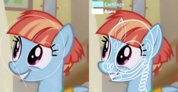 Size: 1228x640 | Tagged: artist needed, source needed, safe, edit, edited screencap, imported from derpibooru, screencap, windy whistles, pony, anatomy, bone, female, skeleton, solo