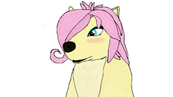 Size: 1920x1080 | Tagged: safe, artist:jhilton0907, imported from derpibooru, fluttershy, wolf, alpha and omega, blushing, lilly (alpha and omega), simple background, solo, species swap, transparent background, wolfified