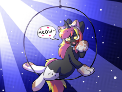 Size: 1600x1200 | Tagged: safe, artist:alex69vodka, imported from derpibooru, oc, oc:java, pony, unicorn, cat ears, cat paws, cat socks, clothes, female, looking at you, meow, socks