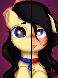 Size: 6300x8400 | Tagged: safe, artist:ottava, imported from derpibooru, oc, oc only, oc:ottava, earth pony, pony, ahegao, bdsm, blushing, bow, collar, drool, eyes rolling back, floppy ears, hair bow, jewelry, leash, messy mane, pendant, pet play, pet tag, smiling, solo, sweat, sweatdrops, tongue out, two sides