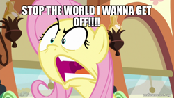 Size: 800x450 | Tagged: safe, edit, edited screencap, imported from derpibooru, screencap, fluttershy, pegasus, pony, buckball season, season 6, angry, caption, female, flutterrage, image macro, mare, meme, text, the adventures of jimmy neutron: boy genius