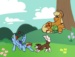 Size: 1280x967 | Tagged: safe, artist:tezzbot, imported from derpibooru, applejack, rainbow dash, tank, winona, dog, earth pony, pegasus, pony, tortoise, appledash, ball, colored hooves, female, lesbian, missing freckles, shipping, unshorn fetlocks