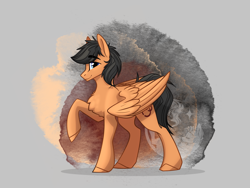 Size: 2048x1536 | Tagged: safe, artist:alrumoon_art, imported from derpibooru, oc, oc only, pegasus, pony, abstract background, solo
