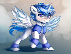 Size: 1323x1015 | Tagged: safe, artist:chaosangeldesu, imported from derpibooru, oc, oc only, oc:winter wind, alicorn, pony, commission, male, solo, stallion